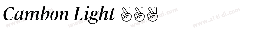 Cambon Light字体转换